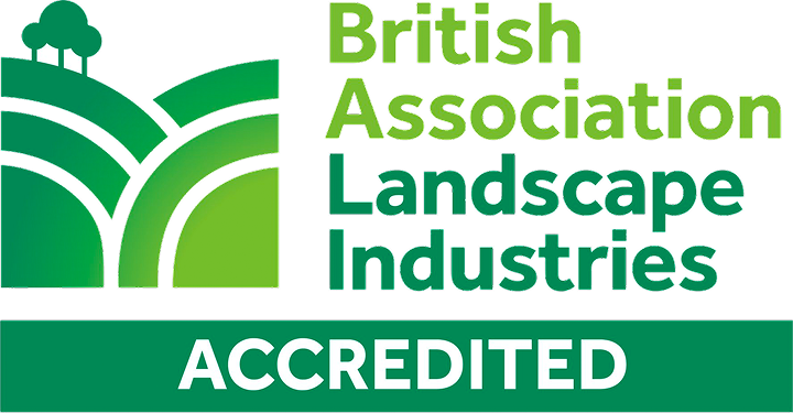 BALI CONTRACTOR MEMBER