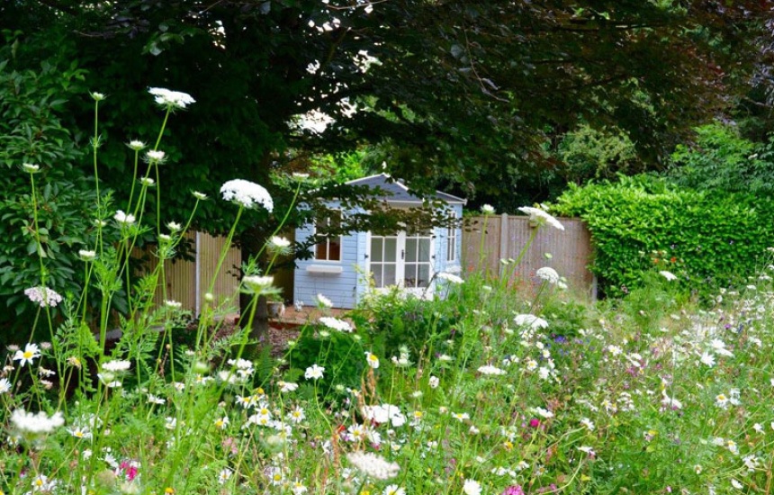 Garden design Harpenden 1