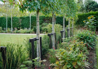 autumn planting
